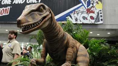 Daniel Zuchnik /gettyimages