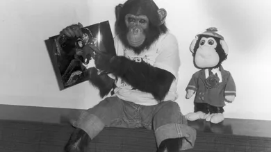 Hulton Archive/Getty Images