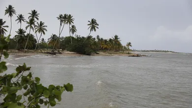 Joe Raedle / Getty Images