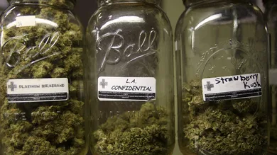 David McNew/Getty Images