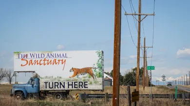 Marc Piscotty / Stringer / Getty Images
