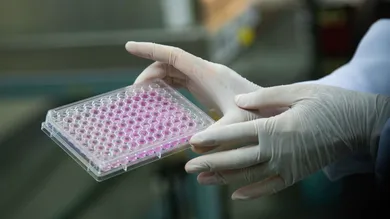 Lauren DeCicca/Getty Images