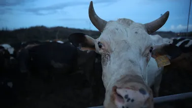 Joe Raedle / gettyimages