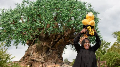Todd Anderson/Disney Resorts via Getty Images