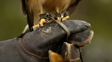 mark Kolbe / gettyimages