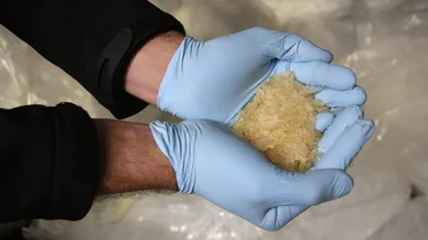 Hannelore Foerster/Getty Images