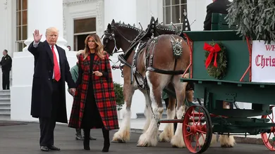 Mark Wilson/Getty Images