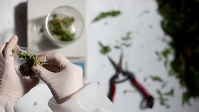 Uriel Sinai/Getty Images