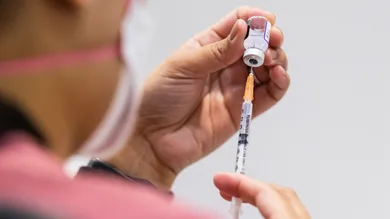 Daniel Pockett/Getty Images