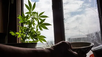 Andrew Burton/Getty Images