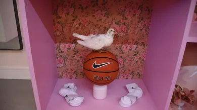 Araya Diaz/Getty Images