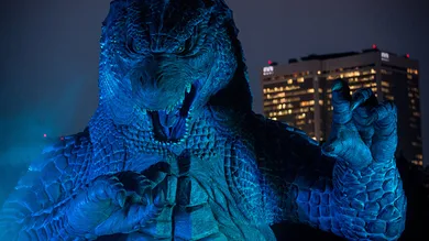 Chris McGrath/Getty Images