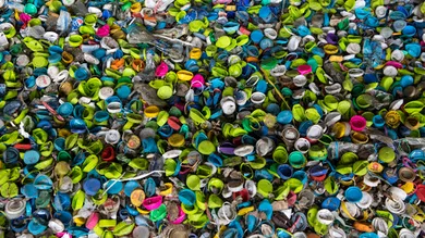 Paula Bronstein/Getty Images