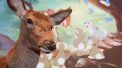 Nick Pickles/WireImage/Getty