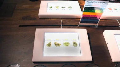 Bryan Steffy/ Getty Images