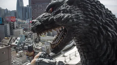 Chris McGrath/Getty Images