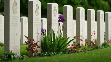 Sean Gallup/Getty Images