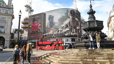 Stuart C. Wilson/Getty Images