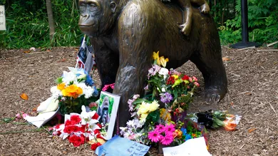 john Sommers II/ gettyimages