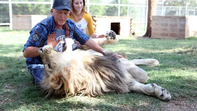 Barcroft Media/Getty Images