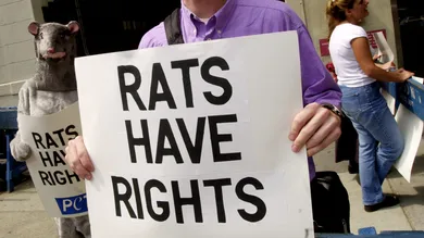 Chris Hondros / Staff / Getty Images