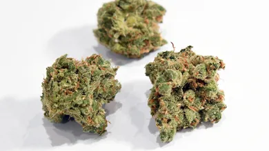 Ethan Miller/Getty Images