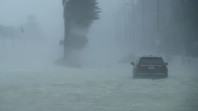 Chip Somodevilla/Getty Images