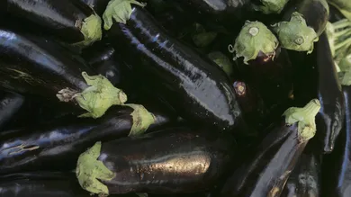 David Silverman/Getty Images