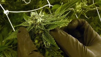 Ethan Miller/Getty Images