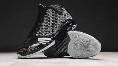 air jordan 23 trophy room