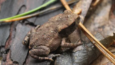 Sean Gallup/Getty Images