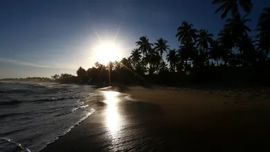 Clive Mason/Getty Images