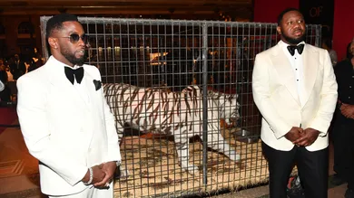 Paras Griffin / Contributor / Getty Images