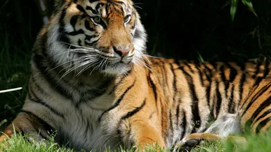 Justin Sullivan/Getty Images