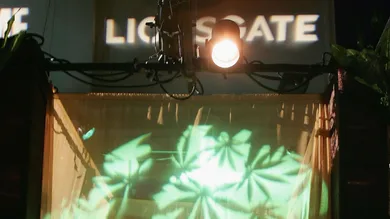 Photo by Frazer Harrison/Getty Images