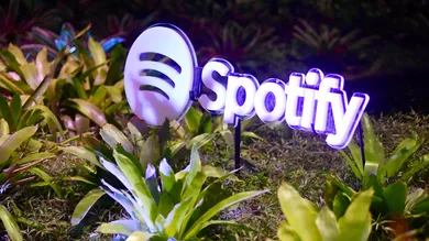 Timothy Hiatt / Getty Images