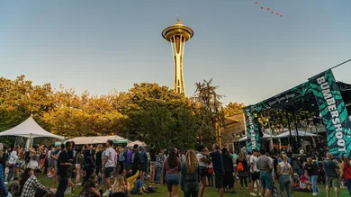 Suzi Pratt / Getty Images