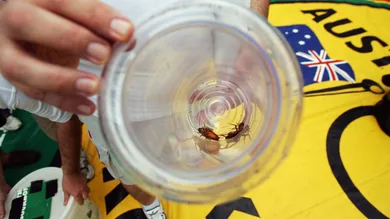 Jonathan Wood/Getty Images