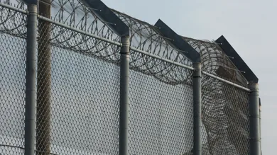 Anne-Marie Jackson/Toronto Star via Getty Images