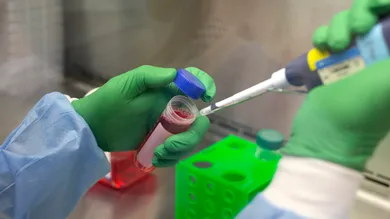 Karen Ducey / Stringer / Getty Images