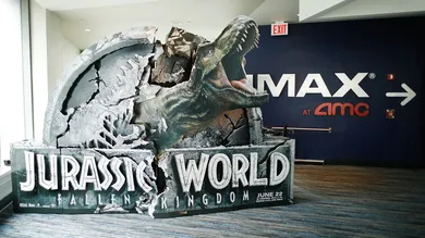 Lars Niki/Getty Images for IMAX