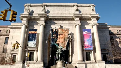 Stephen Chernin / Getty Images