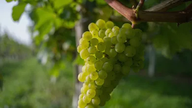 Ian Forsyth/Getty Images