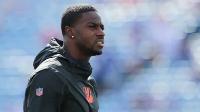 Timothy T Ludwig / Getty Images