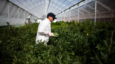 Uriel Sinai/Getty Images