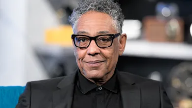 Rich Polk/Getty Images for IMDb