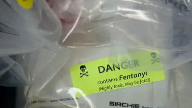 Drew Angerer/Getty Images