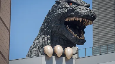 Chris McGrath/Getty Images