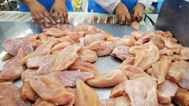 Paula Bronstein/Getty Images