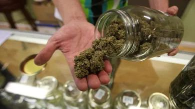 David McNew/Getty Images